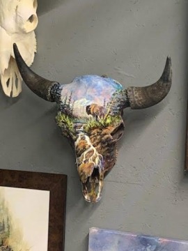 Cow Skull