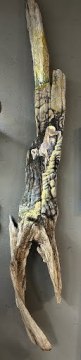 Driftwood - $995