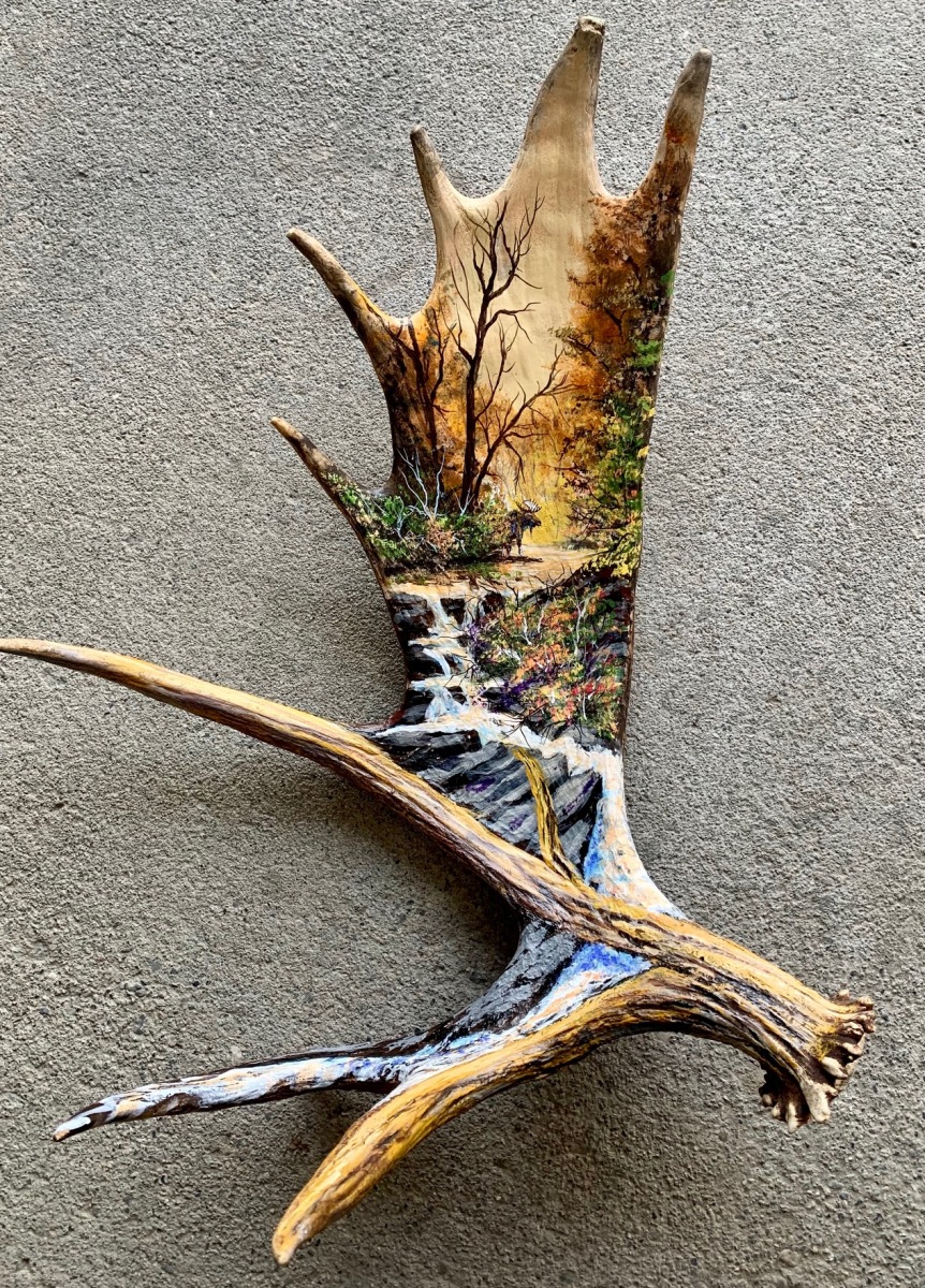 Moose Antler Paintings – Steve Kerr, Artist